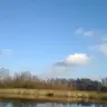 Danek