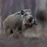 K S