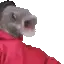Lipa