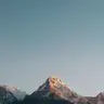Smakosz -