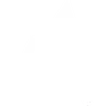 gsr
