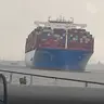Efecta elektra