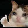 I_love_ kitek