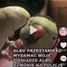 Mati