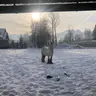 Horsebackrider- Wiktoria Widło