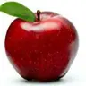 apple ds