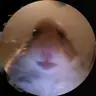 ktos ktos