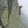 Aneta Sawicka