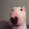 Walter