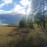Tomasz.S.